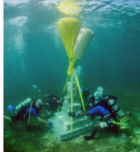 Dive Grenada - Artificial Reef 6